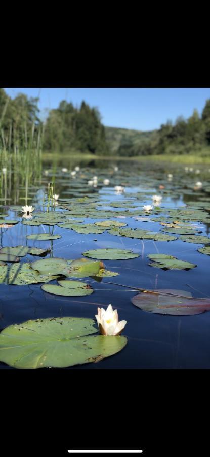 Glamping On Idyllic Lake, Paddle Boards & Rowboat Porsgrunn Kültér fotó